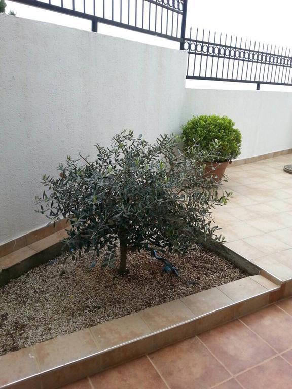 Apartments Sveti Stefan-Marko Zewnętrze zdjęcie
